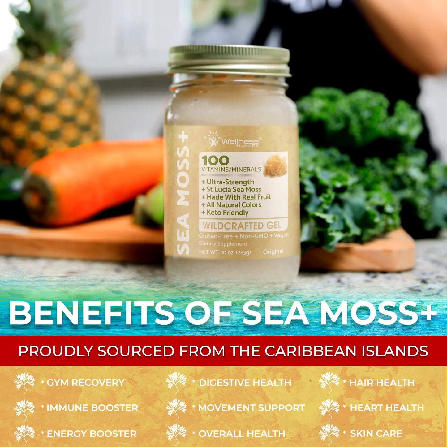 WELLNESS LABSRX Irish Sea Moss Gel Raw - Wildcrafted Superfood Seamoss Gel - Pineapple Mango Flavor, Vitamin and Mineral-Rich from Pristine Caribbean Waters - 10 oz.