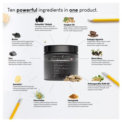 Formulation Factory Self Obsessed 10-in-1 Natural Testosterone Booster for Men, Testosterone Supplement for Men with Shilajit, Tongkat Ali, Fadogia Agrestis, 120 Capsules, 2 Month Supply