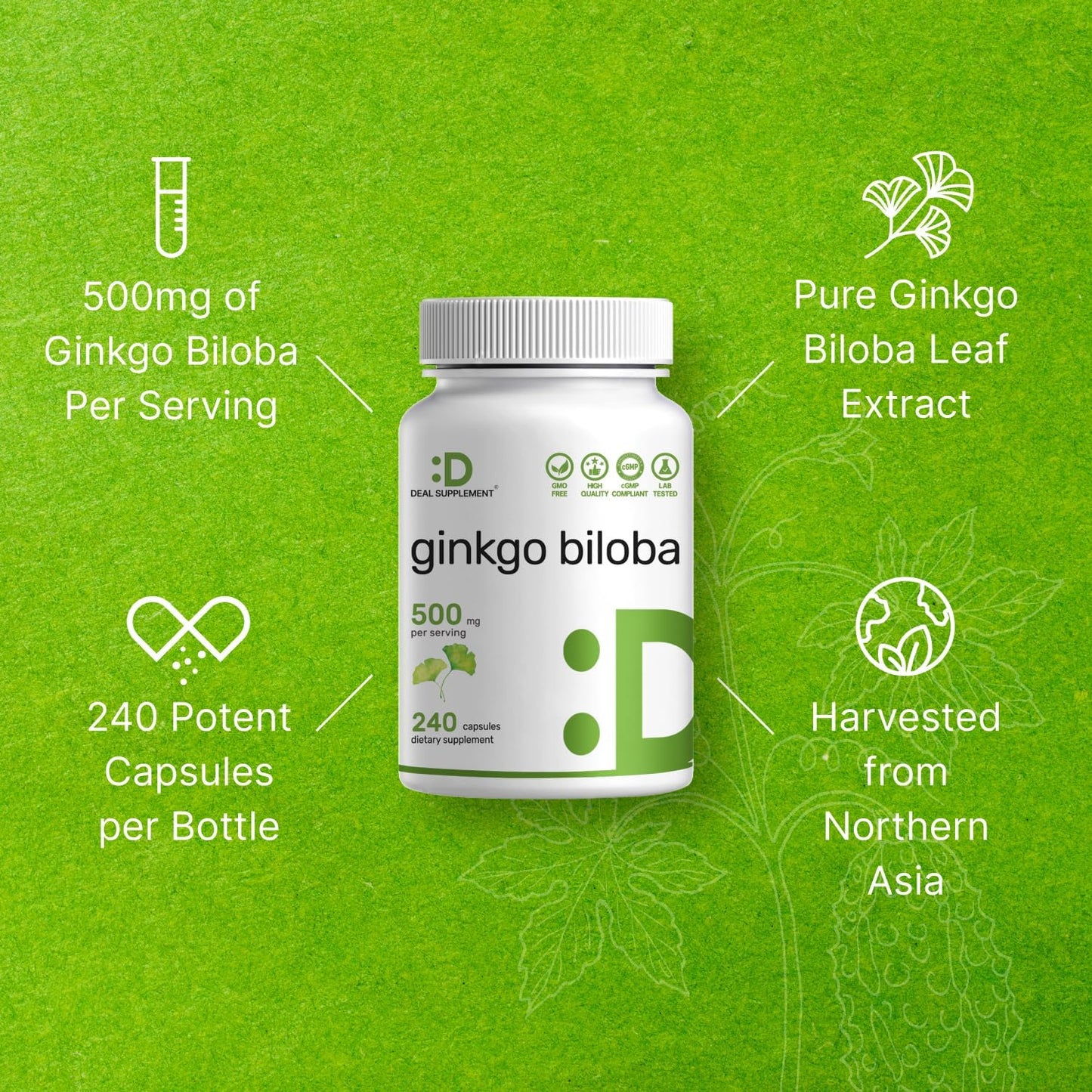 DEAL SUPPLEMENT Ginkgo Biloba 500mg Per Serving, 240 Capsules, 4 Month Supply – Grown in Northern Asia – Extra Strength, Promotes Brain Function