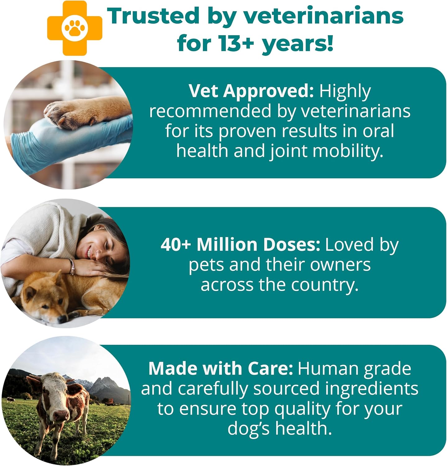 1TDC WorksSoWell Dual Action Hip and Joint Supplement for Dogs & Cats - for Large & Small Breed - Great for Oral Health, Stamina Recovery & Arthritis Pain Relief -120 ct