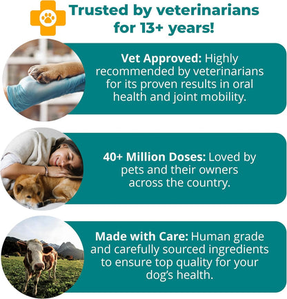 1TDC WorksSoWell Dual Action Hip and Joint Supplement for Dogs & Cats - for Large & Small Breed - Great for Oral Health, Stamina Recovery & Arthritis Pain Relief -120 ct