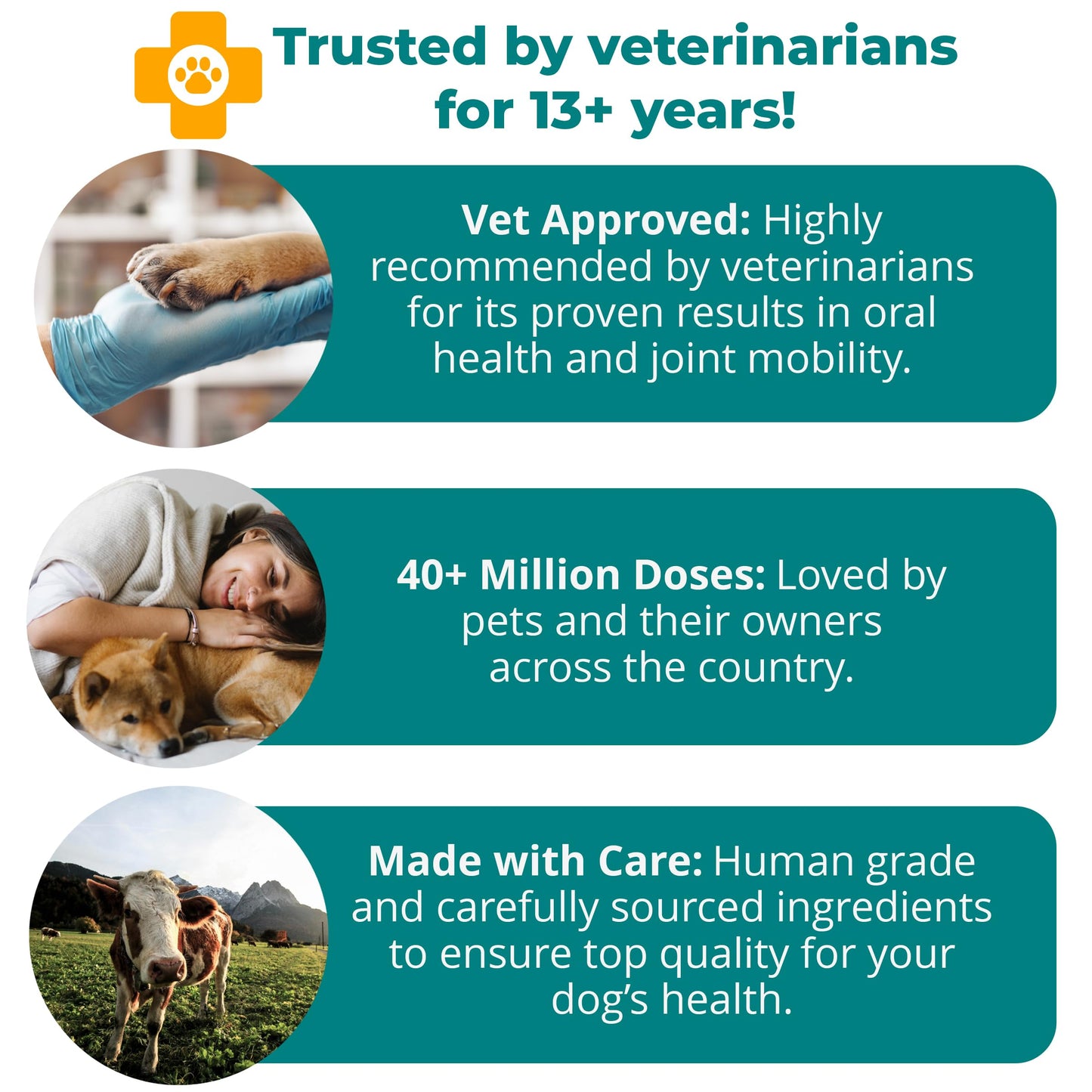 1TDC WorksSoWell Dual Action Hip and Joint Supplement for Dogs & Cats - for Large & Small Breed - Great for Oral Health, Stamina Recovery & Arthritis Pain Relief -120 ct