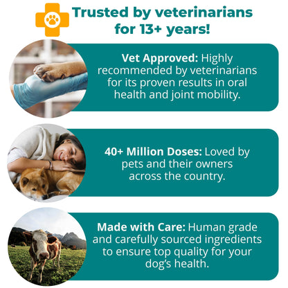 1TDC WorksSoWell Dual Action Hip and Joint Supplement for Dogs & Cats - for Large & Small Breed - Great for Oral Health, Stamina Recovery & Arthritis Pain Relief -120 ct