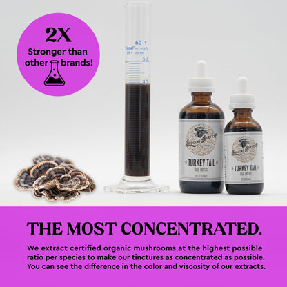 Hodgins Harvest Organic Lion's Mane Fruiting Body Extract Tincture - Mushroom Supplement for Brain Health and Mental Focus - Dual Extract Formula - Extra Concentrated - 4 fl oz Bottle