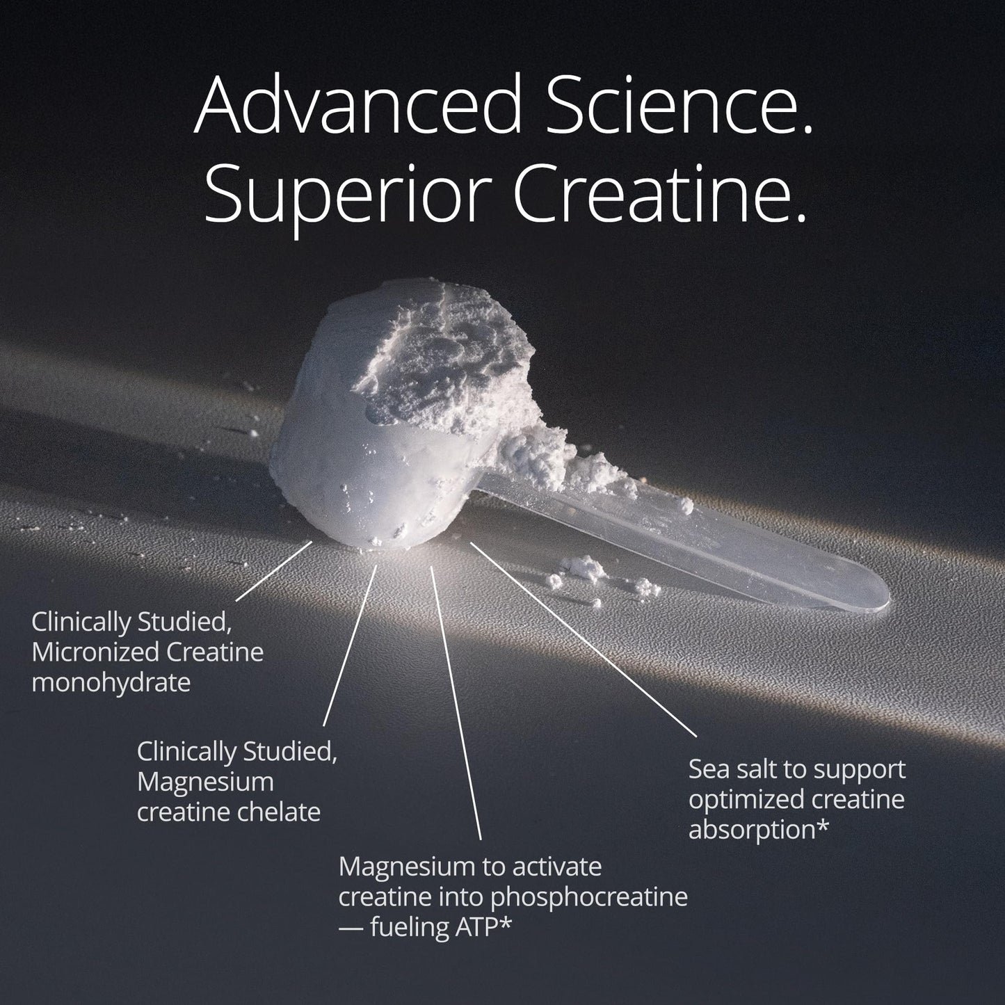 Qualia Creatine | Advanced Creatine Complex | 2 Sources + Magnesium | Optimized Absorption | Muscle Performance, Brain Function, & Healthy Aging (30 Servings)