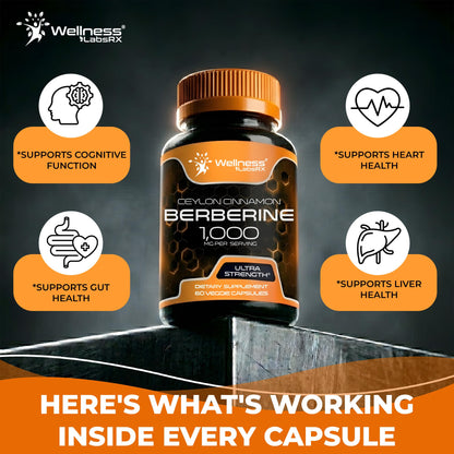 WELLNESS LABSRX Berberine 1,000mg - Third-Party Tested Berberine Supplement HCL with Ceylon Cinnamon, Black Pepper Extract and Apple Cider Vinegar, Heart Support Capsules - 240 Capsules - Pack of 2