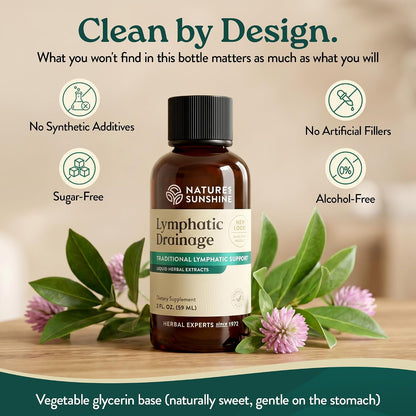 Nature's Sunshine Lymphatic Drainage Drops with Cleavers Extract - 60 Serv. | Herbal Lymphatic Support Supplement Complex for Lymph Drainage, Red Clover, Red Root & Prickly Ash Bark for Lymph System Flow