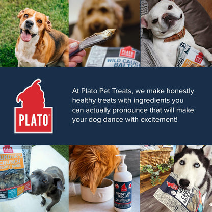 Plato Pet Treats Fish Dog Treats - Air-Dried, Single Ingredient Pet Treat - Omega 3 & 6 Fatty Acids to Support Skin and Coat - 100% Whole Fish - Wild Caught Baltic Sprat - 3 oz - 2 Pack