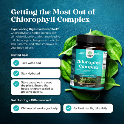 Chlorophyll Capsules for Cleanse and Detox Support - Internal Deodorant Pills for Body Odor with Mint & Parsley Extract Healthy Skin Immunity & Digestive Support - Vegan Non-GMO & Gluten Free (60ct)