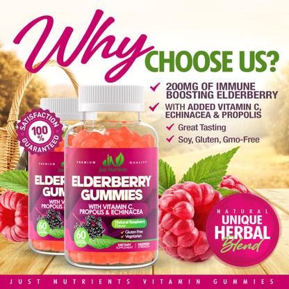Elderberry 200mg Gummies with Vitamin C, Echinacea, Propolis (100 count) | Immune Support for Adults & Kids - Maximum Strength, Great Tasting Raspberry Flavor - Gluten-Free, Vegan
