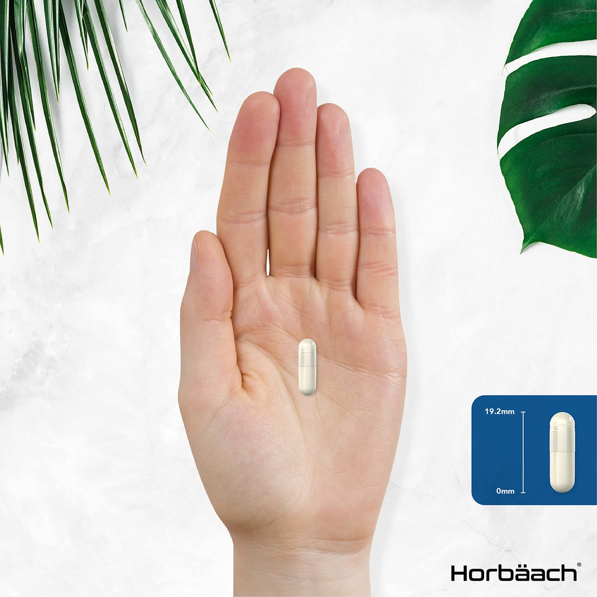 L-Methylfolate 1000ug | 200 Capsules | 5-MTHF Folate Supplement | Active Form