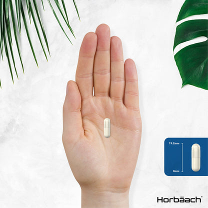 L-Methylfolate 1000ug | 200 Capsules | 5-MTHF Folate Supplement | Active Form