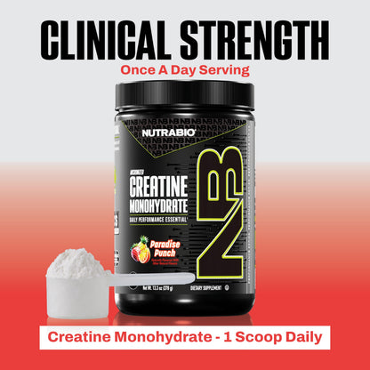 NutraBio Pure Micronized Creatine Monohydrate Powder Supplement, Unflavored, (300 g) - Supports Bulk Muscle Energy, Recovery, and Strength - HPLC Tested Creatine Powder Supplement for Men and Women