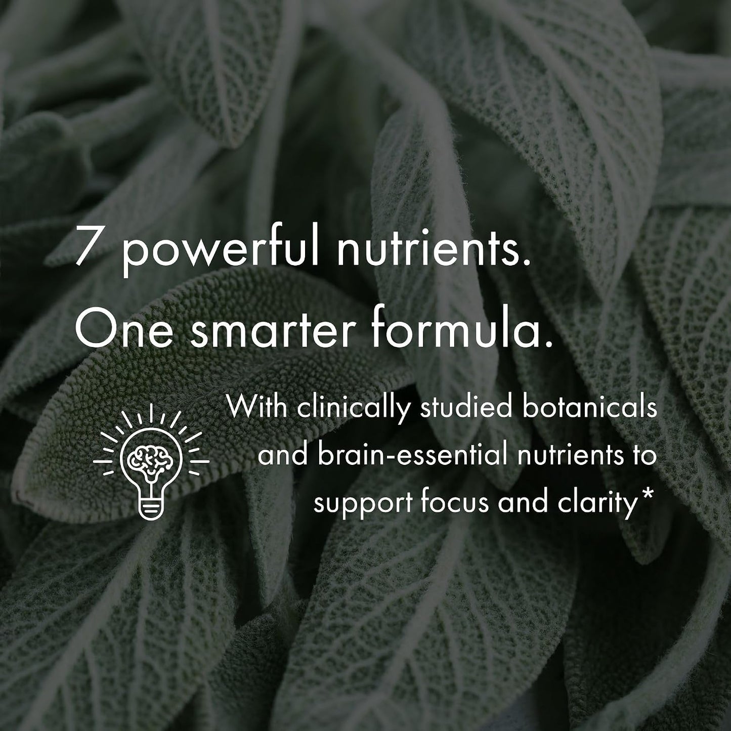 NAOMI BrainSpan™ with BDNF Support - Supports Working Memory, Focus & Concentration - CogniSage™, CognatiQ®, Lion Mane, Phosphatidylserine, Ginkgo Biloba, B6 & B12, Non-GMO, 30-Day Supply