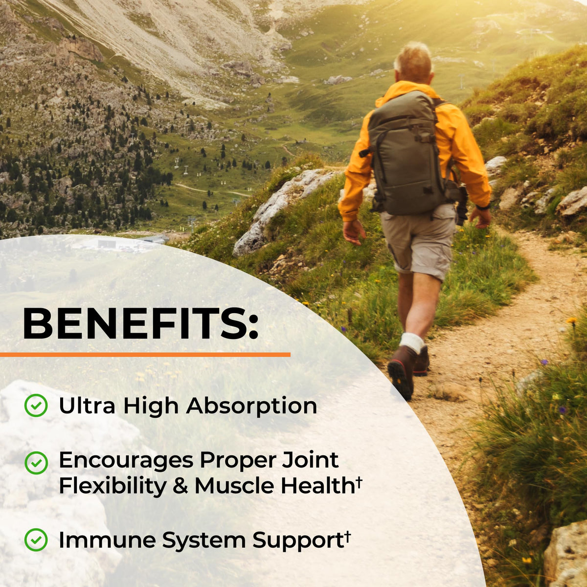 Turmeric Curcumin with Black Pepper Extract 1500mg - 180 Capsules