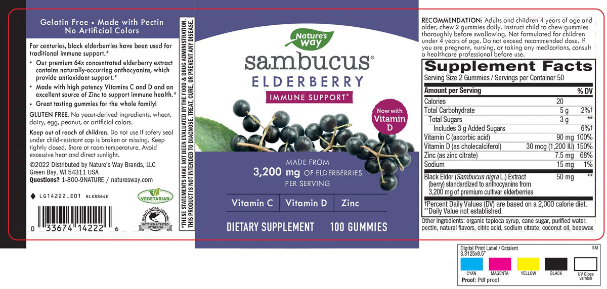 Nature's Way Sambucus Elderberry Gummies - Immune Support Supplement for Kids