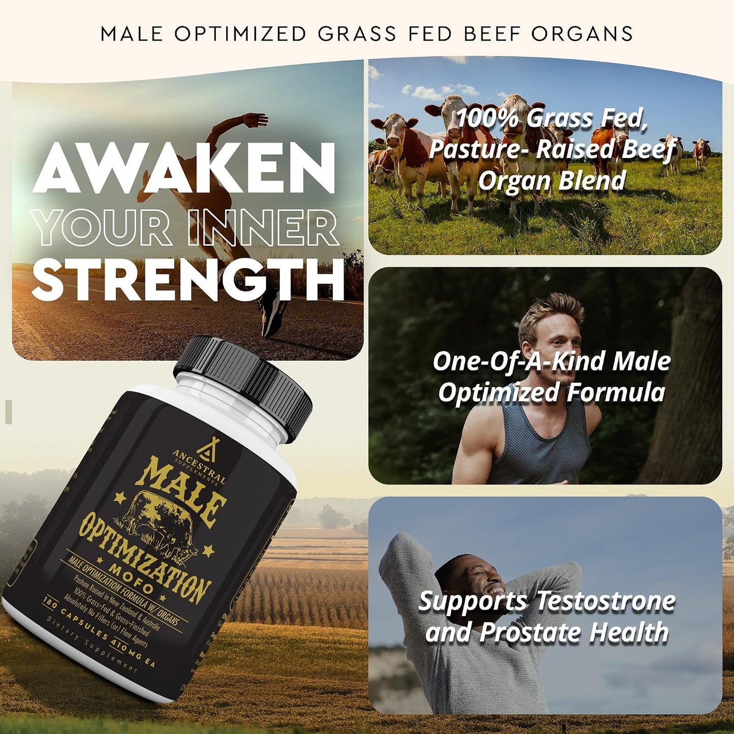 Ancestral Supplements FEM & Mofo Bundle – His & Hers Grass Fed Organ Supplements – Supports Hormone Balance, Energy, Vitality & Wellness – Pasture Raised Beef Organ Multivitamin for Men & Women