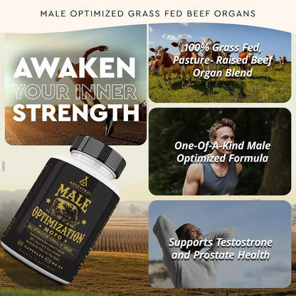 Ancestral Supplements Beef Liver & Mofo Bundle for Men – Supports Energy, Strength, Hormone Health & Vitality – Grass Fed, Pasture Raised Beef Organ Multivitamin with Targeted Nutrients
