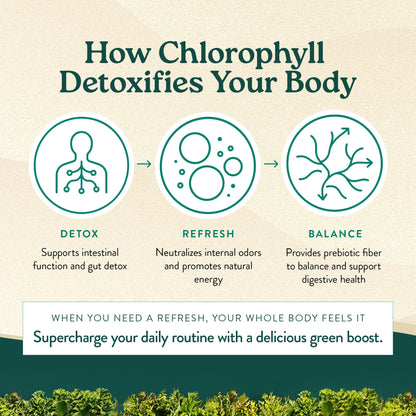 Nature's Sunshine Chlorophyll Stick Packs: Supercharge Your Detox and Boost Gut Health in Convenient, Delicious Stick Packs (Crisp Apple)