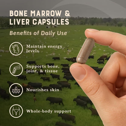 HEART & SOIL Bone Marrow & Beef Liver, 180 Capsules | 100% grass fed & finished from regenerative cattle. Supports bones, joints, tissue & skin. 3000mg for women & men.