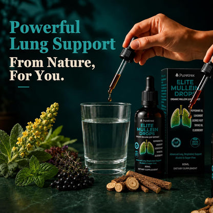 Elite Mullein Drops for Lungs, Respiratory Support, Organic Leaf Extract Liquid, Lungwort, Licorice Root, Thyme, Elderberry, Peppermint Oil, Vegan, Alcohol & Sugar-Free, 60mL