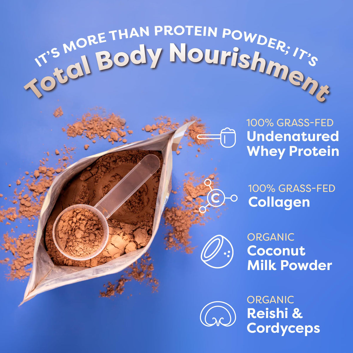 FlavCity Protein Powder Smoothie, Chocolate Peanut Butter - 100% Grass-Fed Whey Pro