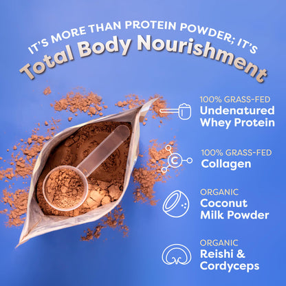 FlavCity Protein Powder Smoothie, Chocolate Peanut Butter - 100% Grass-Fed Whey Pro