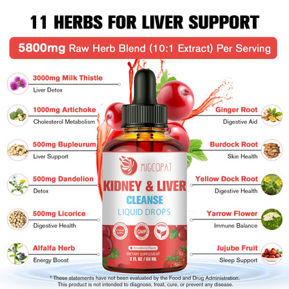 Kidney and Liver Cleanse Detox & Repair Drops, Cranberry and Milk Thistle Supplement with Artichoke, Astragalus, Horsetail – Natural Herbal for Liver, Kidney, Urinary Tract, Bladder, 60ml