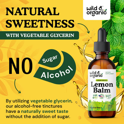 Wild & Organic Lemon Balm Tincture - Good Mood Support - Melissa Lemon Balm Extract Drops - Add to Tea for Relaxation - Vegan, Sugar & Alcohol-Free Leaf Supplement - 4 fl oz