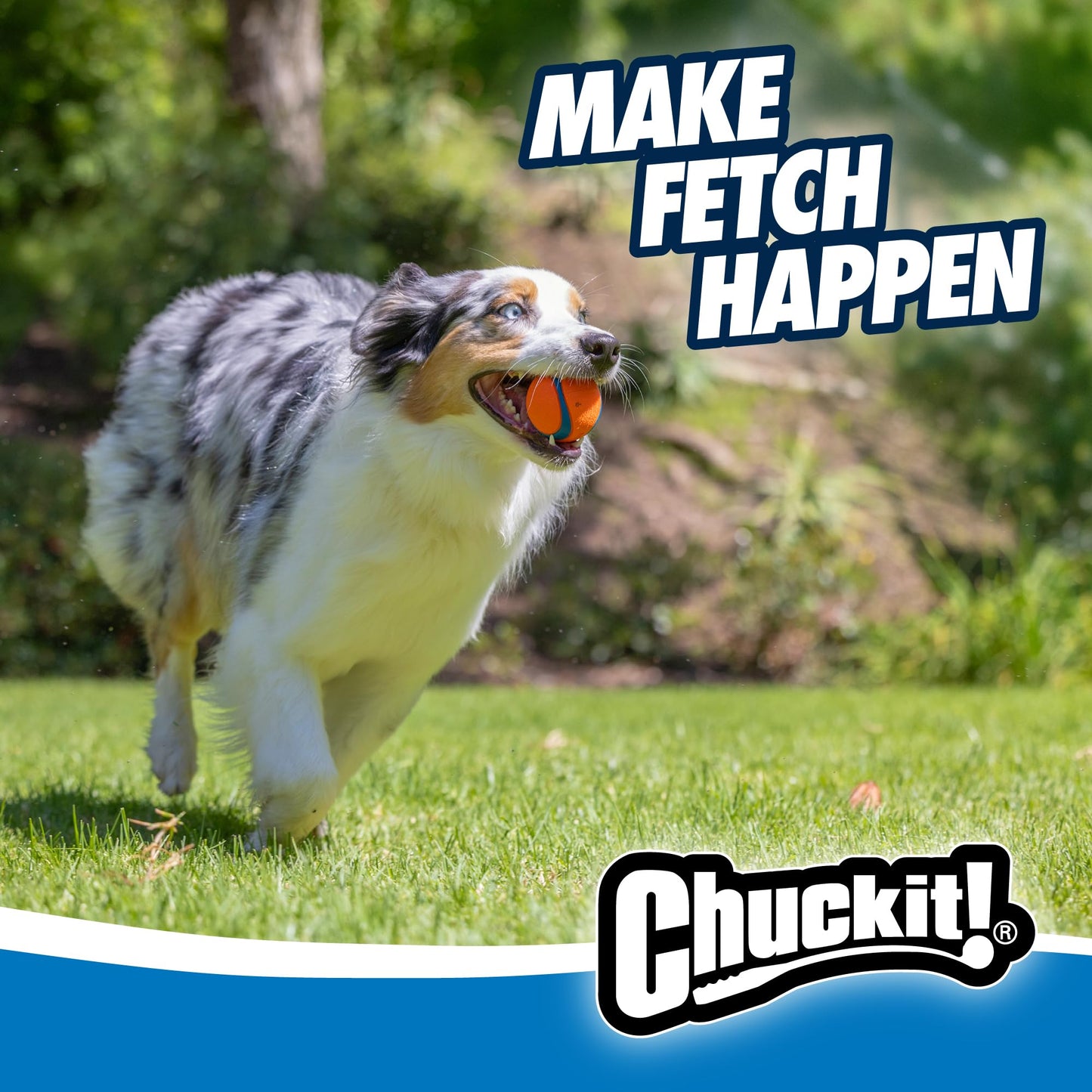 Chuckit! Ultra Ball Dog Toy - Medium Bouncy Fetch Balls For Dogs 20-60 lbs - Made from Durable Rubber - Floating Water Pet Toys - Size Medium - 2.5-inch Diameter - Pack of 2 | Bouncy durable rubber design for pups 20-60 lbs, high bounce action for active