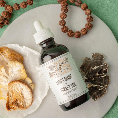 Hodgins Harvest Organic Lion's Mane Fruiting Body Extract Tincture - Mushroom Supplement for Brain Health and Mental Focus - Dual Extract Formula - Extra Concentrated - 4 fl oz Bottle