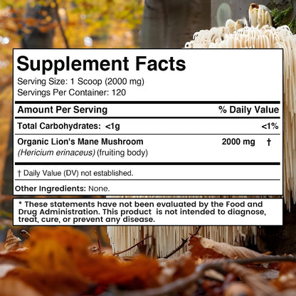 WELLNESS LABSRX Lions Mane Powder 2000mg - Mushroom Powder 25 in 1 2000mg | Bundle