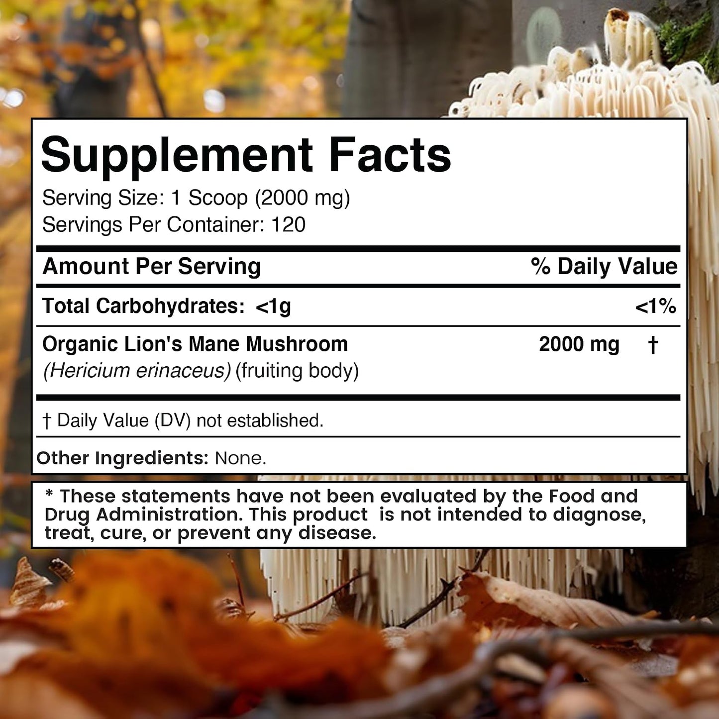 WELLNESS LABSRX Lions Mane Powder, Mushroom Supplement - 2000mg - Lions Mane Supplement - Lion's Mane Mushroom Powder Brain Supplements for Memory and Focus, Immune Support and Health - 120 Servings