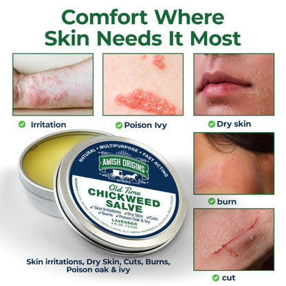 Amish Origins Old Time Chickweed Salve 2 oz- The Ultimate Poison Ivy/Poison Oak Blocker, Healing Salve for Skin Disorder, Irritations, Burns, Minor Cuts