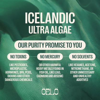 Orlo Vegan Omega 3 Algae Oil 1000mg - Natural Icelandic Nordic Omega-3 EPA & DHA Supplement - Fish Oil & Krill Alternative for Heart & Brain – 60 Easy-to-Swallow Burpless Mini Softgels