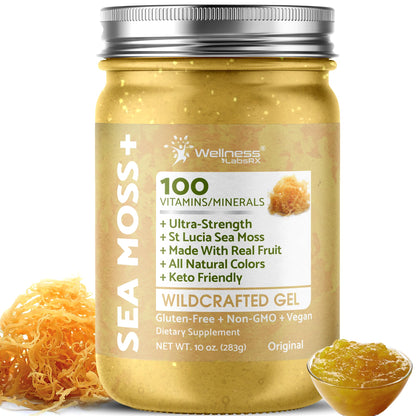 WELLNESS LABSRX Irish Sea Moss Gel Raw - Wildcrafted Superfood Seamoss Gel - Pineapple Mango Flavor, Vitamin and Mineral-Rich from Pristine Caribbean Waters - 10 oz.