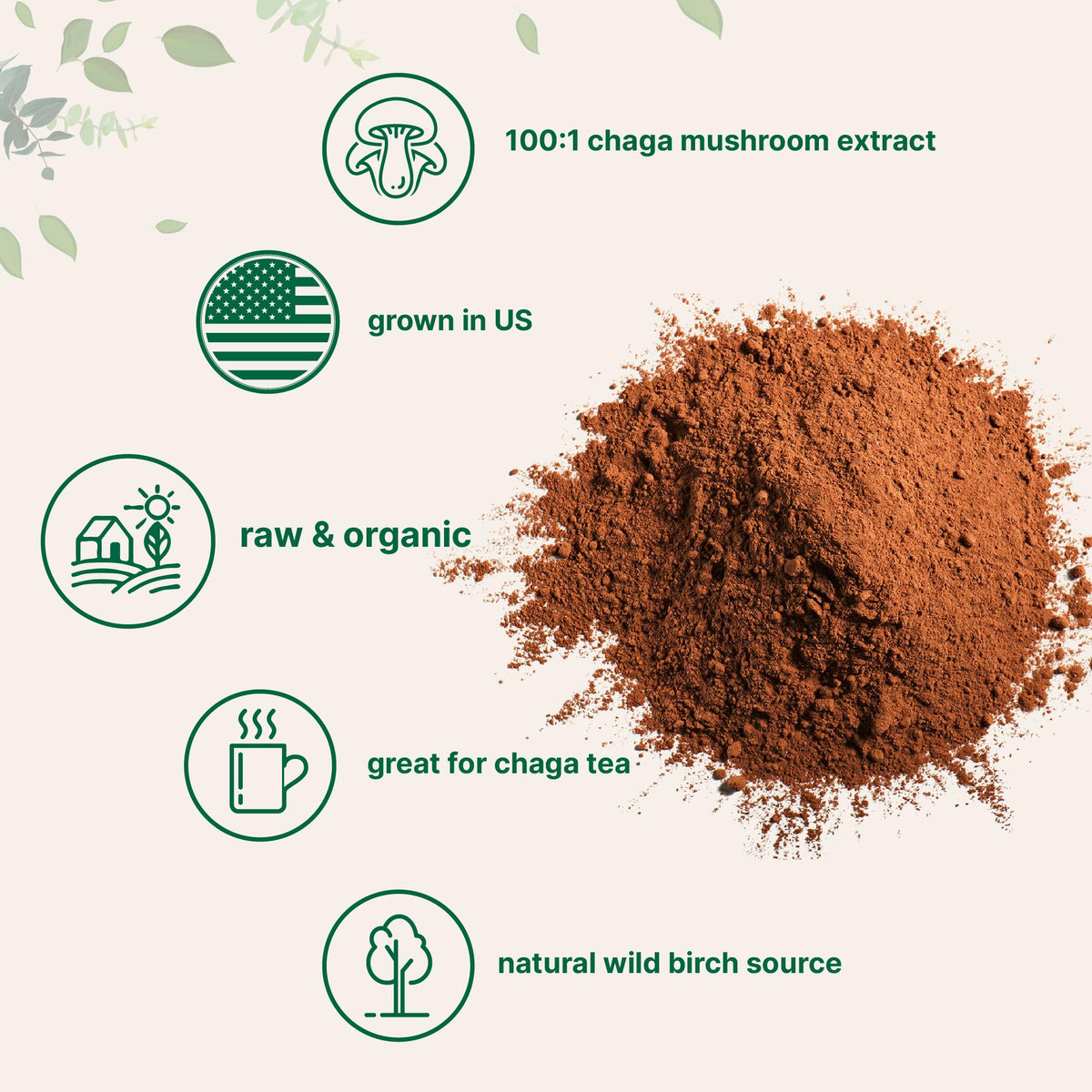 Micro Ingredients Organic Chaga Mushroom Extract 100:1 Powder, 10 Ounce | Sustainably