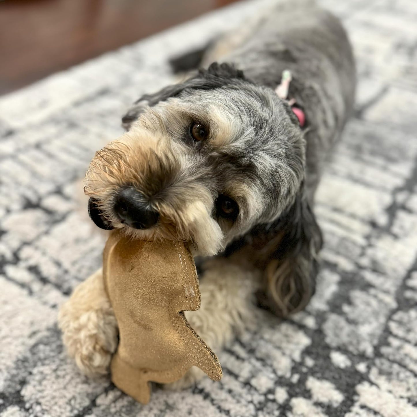 SPOT Dura-Fused Leather Rabbit Dog Toy – Durable Real Leather & Jute Chew Toy with Squeaker, Double-Stitched for Moderate Chewers, Small & Medium Dogs, 7.5in