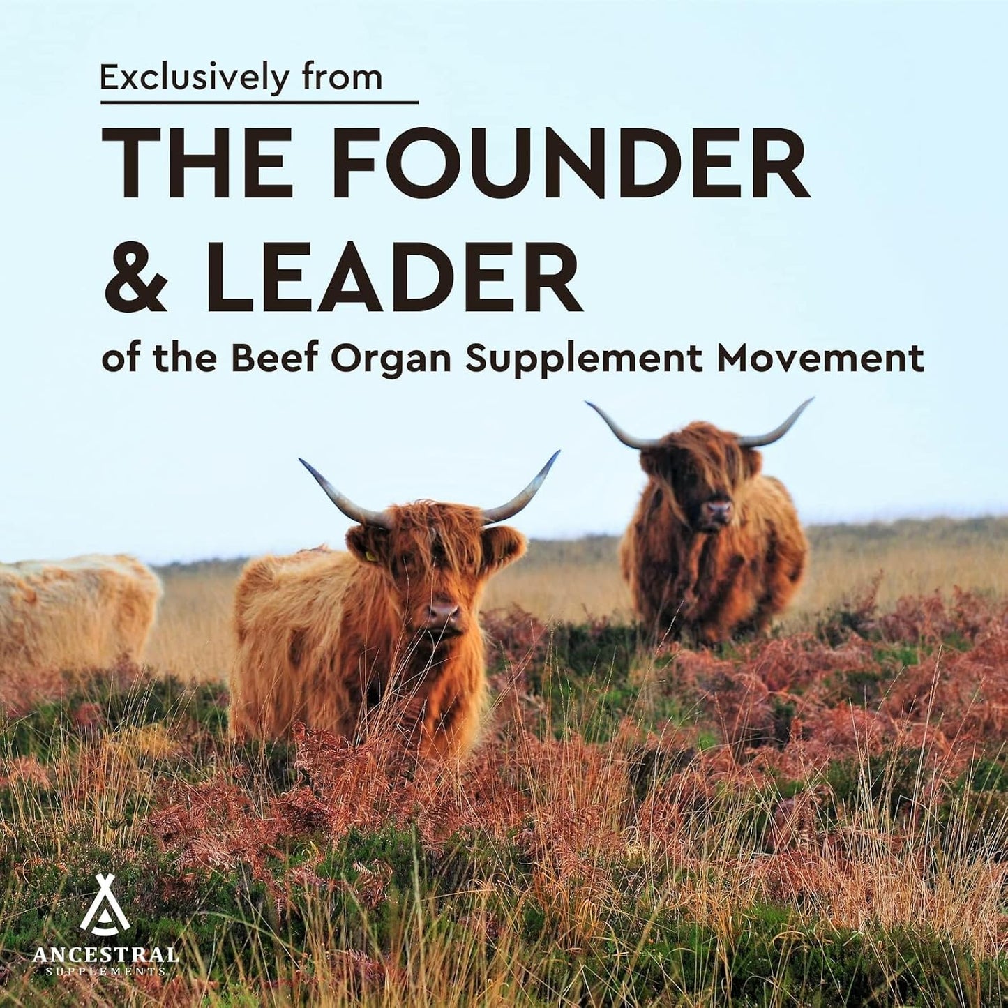 Ancestral Supplements Grass Fed Beef Heart Supplement, CoQ10, 180 Ct | A whole food heart health supplement with CoQ10 supports mitochondrial function and cardiovascular energy.