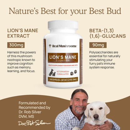 Real Mushrooms Lion’s Mane Pet Mushroom Supplement – Pet Wellbeing Capsules – for Cat & Dog Supplement & Vitamins – Support Mindful Routines – Organic, Vegan, Non-GMO, 120 Count