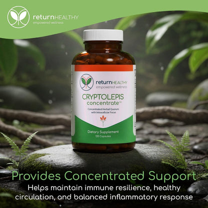 Cryptolepis Concentrate, Immune Support with Cryptolepis Sanguinolenta for Immunity Boost, Concentrated Herbal Supplements, Antioxidant & Health Supplement, 120 Capsules