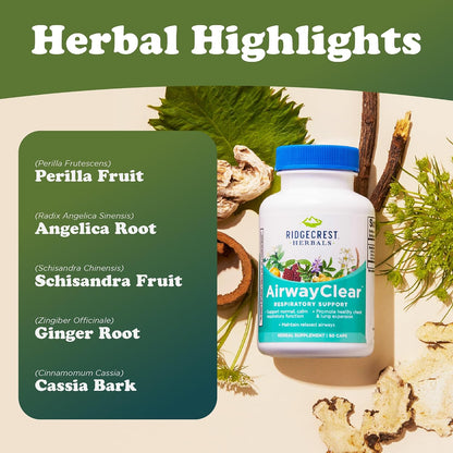 RidgeCrest Herbals AirwayClear Natural Lung and Breathing Support 60 Ct | 30 Servings, Gluten Free, Vegan Capsules, Schisandra Fruit, Cassia Bark, Ginger Root, Sinus, Mucus and Immune Wellness