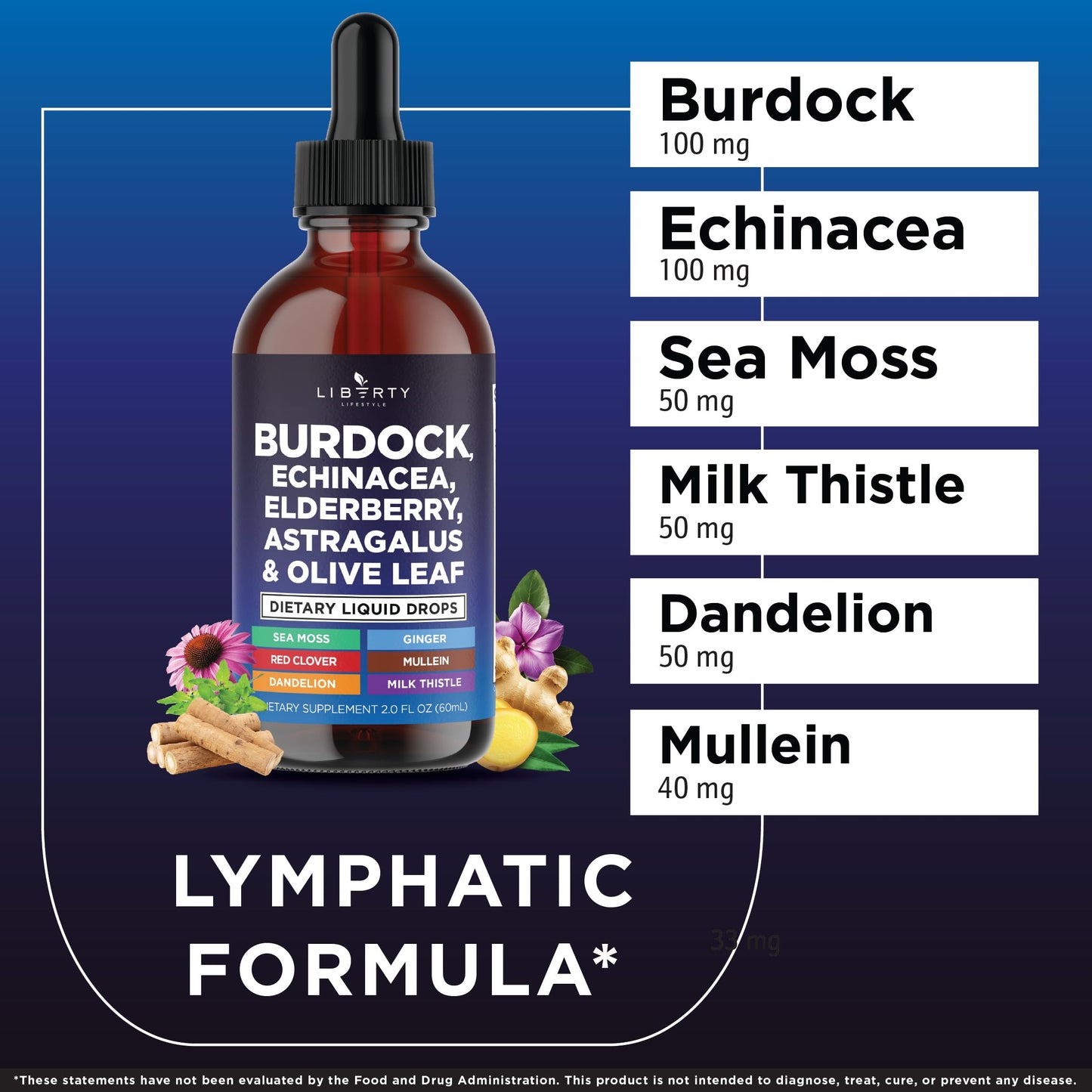Liberty Lifestyle Lymphatic Drainage Supplement - Burdock Lymphatic Support Drops - Burdock Root, Mullein, Echinacea, Elderberry, Dandelion, Astragalus, Milk Thistle, Red Clover - 2 oz