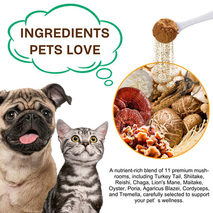 Mushroom Supplement Powder for Dogs & Cats, 11 Beneficial Mushroom Complex for Immune Support, Cellular Protection, Heart & Brain Health Lion's Mane, Reishi & Turkey Tail, Bacon Flavor - 120g