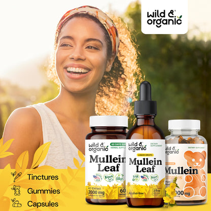 Wild & Organic Mullein Drops for Lungs - Cleanse and Detox - Liquid Mullein Leaf Extract for Lungs with Echinacea - Add to Tea - Verbascum Thapsus Tincture - Sugar & Alcohol-Free Supplement - 4 fl oz