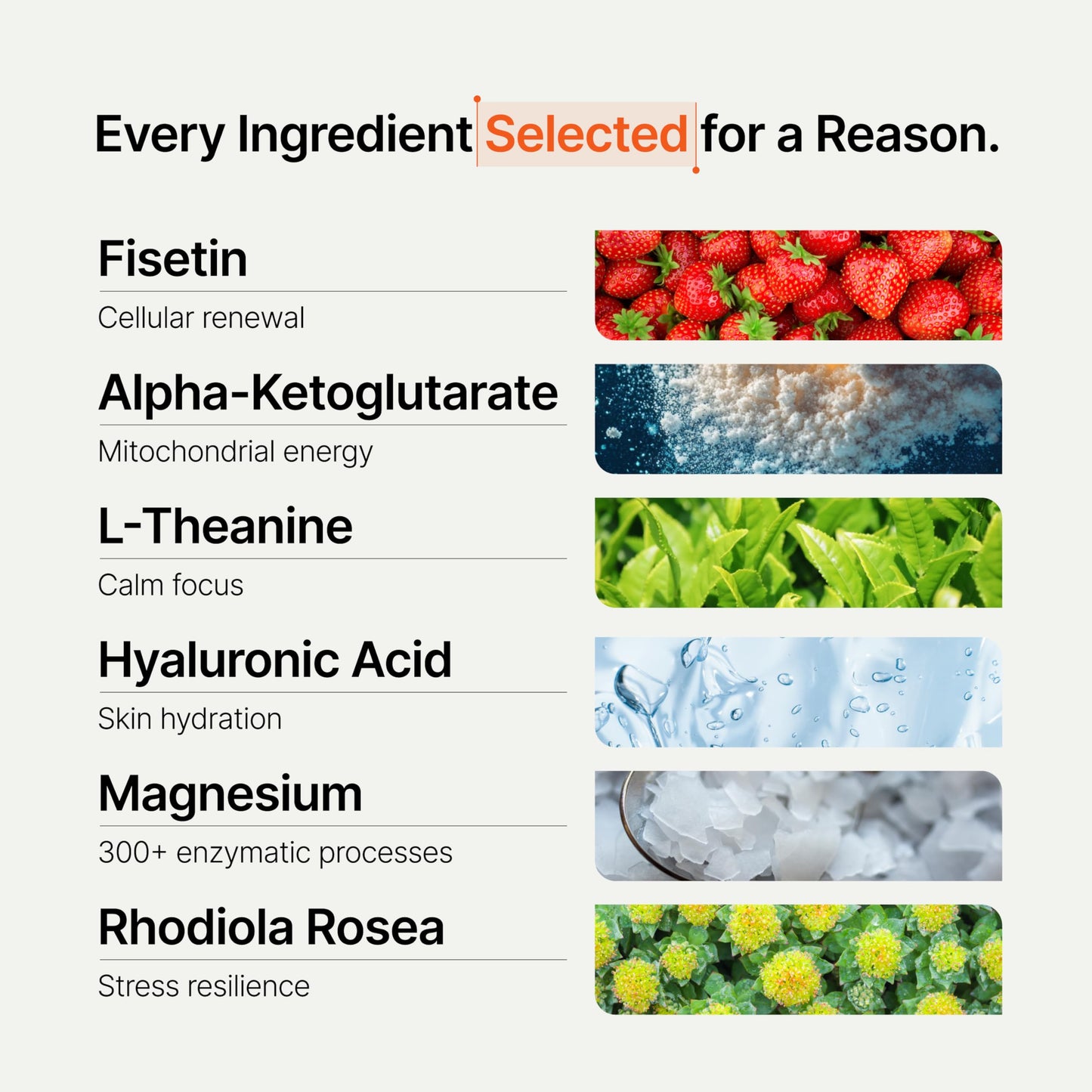 Novos Core - Clinically Studied Daily Longevity Supplement | 12 Active Ingredients for Healthy Aging, Energy, Cognition & Skin Health | Human Clinical Trial Backed | Orange Flavored | 30 Servings