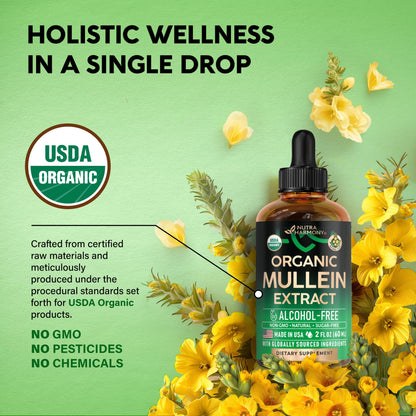 Mullein Drops for Lungs - USDA Organic Liquid - Mullein Leaf Extract Supplement - for Women & Men - Lung & Bronchial Cleanse for Smokers - Respiratory Health Support - As Tincture, Tea, Pills - 4 oz