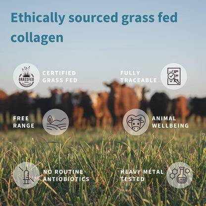 Advanced Hydrolysed Collagen Peptides, 100% Grass Fed & Ethically Sourced