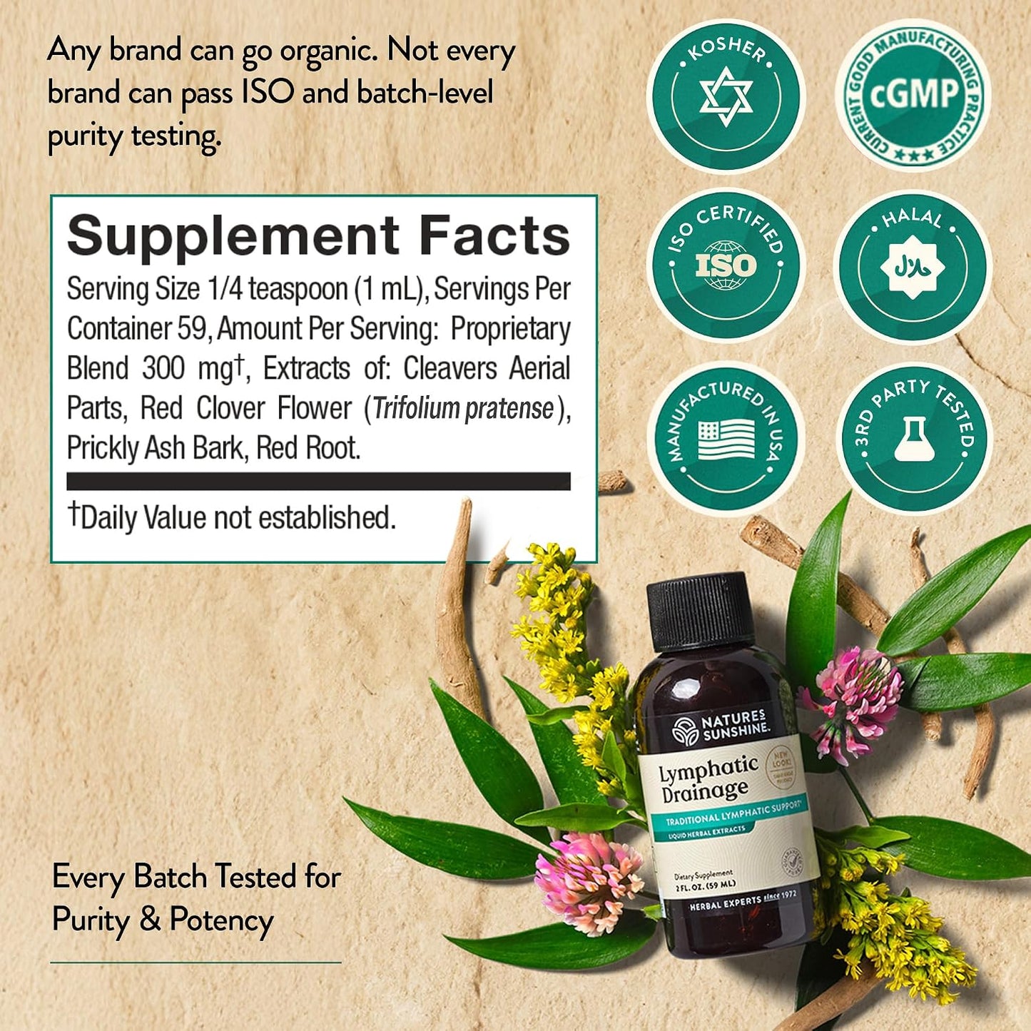 Nature's Sunshine Lymphatic Drainage Drops with Cleavers Extract - 60 Serv. | Herbal Lymphatic Support Supplement Complex for Lymph Drainage, Red Clover, Red Root & Prickly Ash Bark for Lymph System Flow
