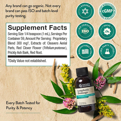Nature's Sunshine Lymphatic Drainage Drops with Cleavers Extract - 60 Serv. | Herbal Lymphatic Support Supplement Complex for Lymph Drainage, Red Clover, Red Root & Prickly Ash Bark for Lymph System Flow